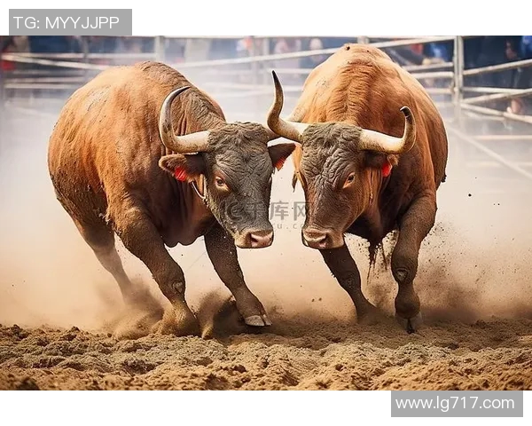 勇士与公牛激战回顾精彩瞬间视频全记录