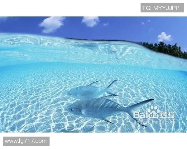 马尔代夫与中国比赛分析及推荐策略分享