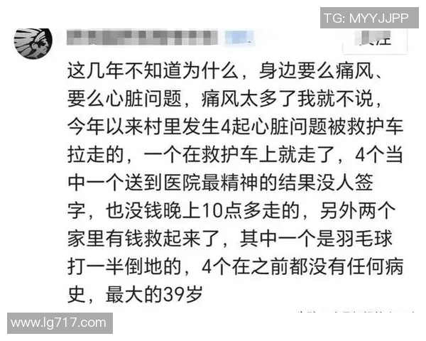 上海排球队的成长之路：一段不平凡的奋斗与团结的纪实故事