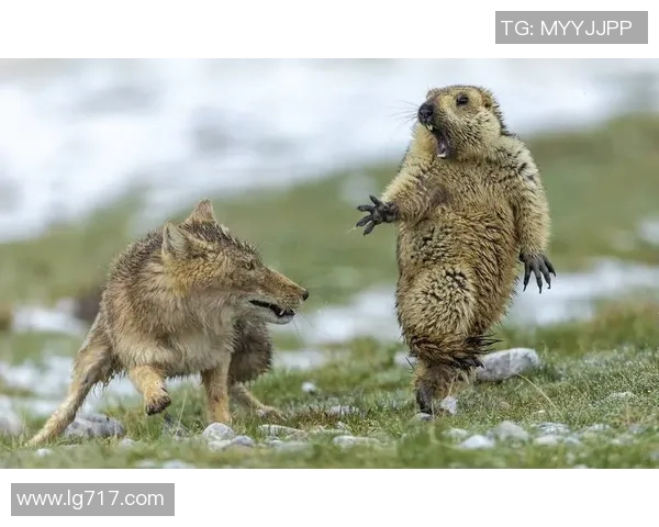 蔚山现代与济州联2019赛季精彩对决回顾与分析